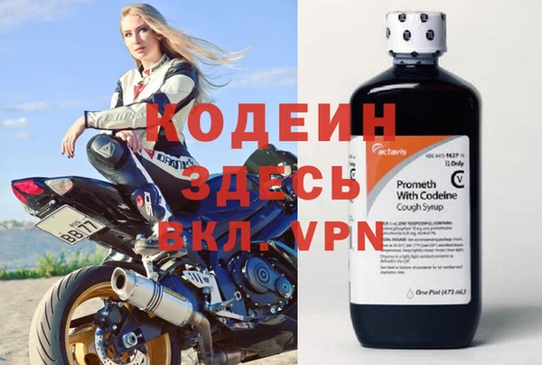 стаф Балахна