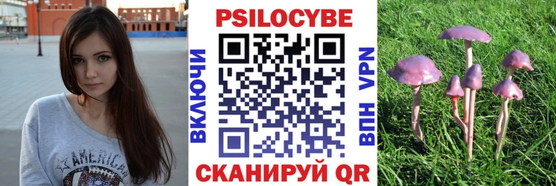 Псилоцибиновые грибы Psilocybe  Нижний Ломов 
